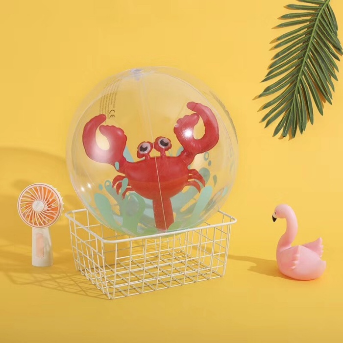 3D Inflatable Beach Balls for Kids